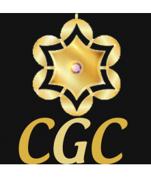 Custom Order Pendant