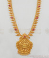 Traditional Gold Haaram Design With Ruby Stone Long Necklace Jewelry HR1698