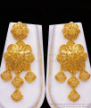 Beautiful Two Gram Gold Haram Earring Combo Set Forming Design  HR2445