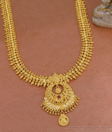 Elegant Mullai Arumbu Gold Imitation Haram Ruby Stone Design HR3357