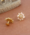 Perfect Gold Plated Studs Stone Earrings For All Occasions ER3903