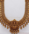 ANTQ1034 - Premium Nagas Temple Jewelry Lakshmi Kasu Haram Earring Combo