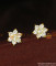White Stone Earrings
