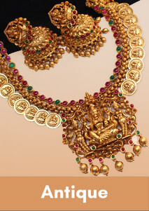 Premium nagas collections lakshmi coin kasu mala