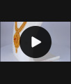 New Collection Gold Haram Necklace Combo Set For Wedding Collection HR1956 New Collection Gold Haram Necklace Combo Set For Wedding Collection HR1956